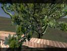cs_pienza0000.jpg